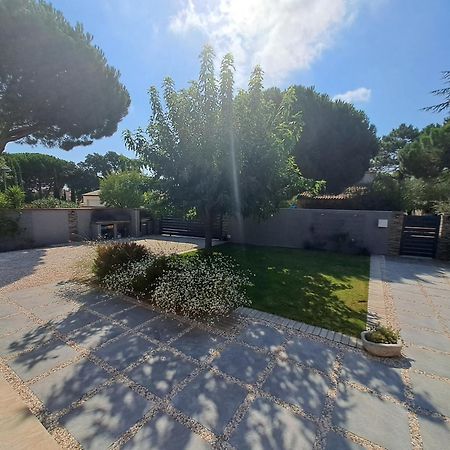 Belle Villa Avec Piscine Vue Montagne A 10 Mn De La Mer A Argeles Exterior foto